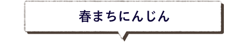 春まちにんじん　ひるがのラファノス